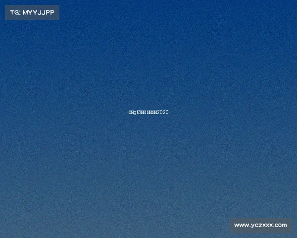 珠海gt3赛事 珠海赛车2020